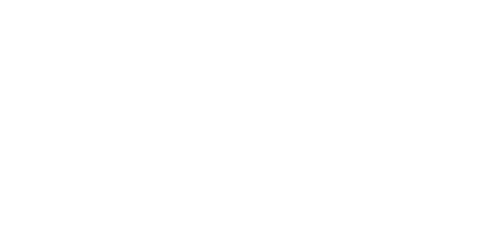2GO Travel Logo